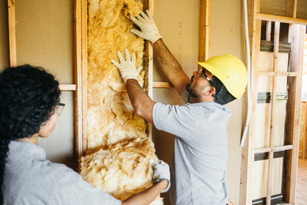 Best Energy-efficient Insulation  in Harmony Grove, CA