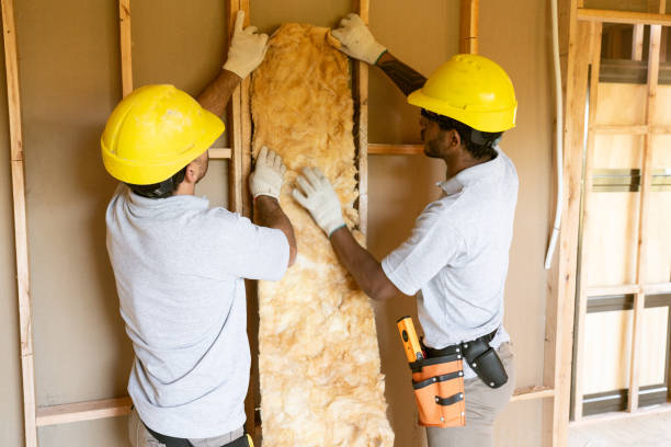 Insulation Repair Services in Harmony Grove, CA